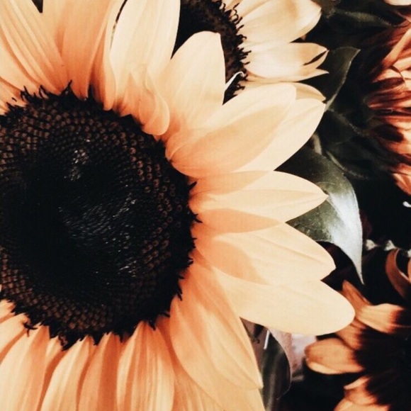 Meet your Posher, Leiala - Picture 1 of 1